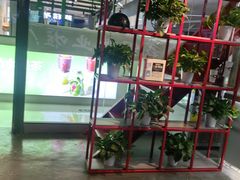 -兰州·放咔甜胚子奶茶(麦积华阳店)