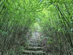 -青芝山风景名胜区
