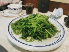 蒜泥空心菜-金良酸菜鱼(宁海路总店)