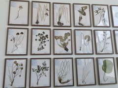 -上海植物园-4号门售票处