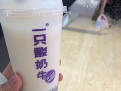 -一只酸奶牛(时代天街A馆店)