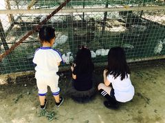 -草根堂农场