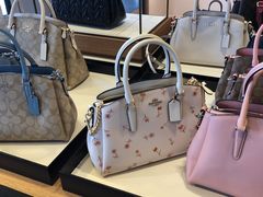 -COACH蔻驰(百联奥特莱斯广场店)