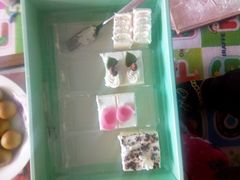 -绿姿鲜奶烘焙(新城花园店)