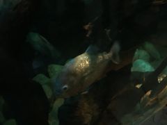-济南野生动物世界