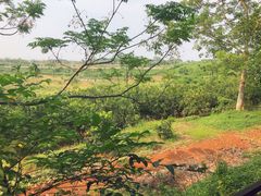 -侯臣咖啡文化村