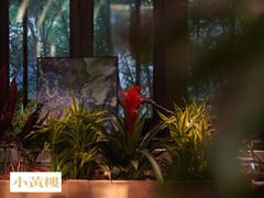 -也枫·小黄楼(南山路旗舰店)