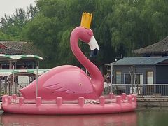 -莲花池公园