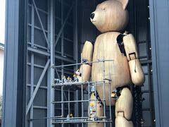 -济州岛泰迪熊博物馆