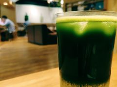 抹茶饮-柴务处·柴犬主题狗咖