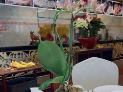 -顺峰海鲜酒楼(省府店)