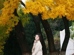 -石家庄市植物园