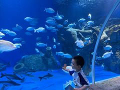 -海合安成都极地海洋公园