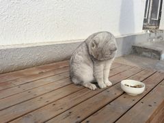 -辛庄国际文化艺术区