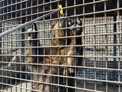 -水上乐园·欢乐世界