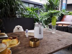 -候鸟等风来·精致西厨(万科第五城店)