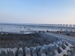 -南汇新城海滩