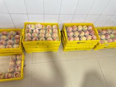 -老袁家蜜桃农场·阳山水蜜桃