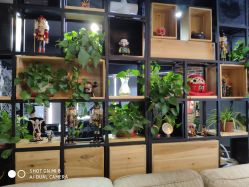 -刺客纹画纹身·洗纹身·穿孔饰品