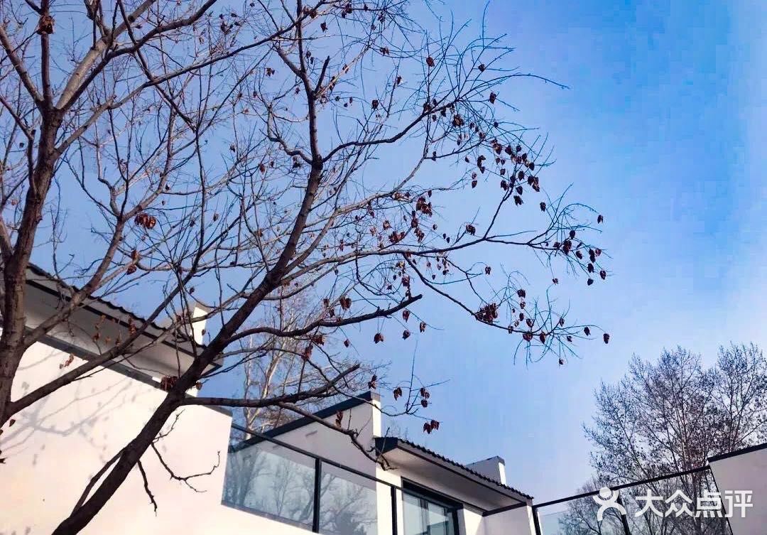 一棵树   京郊最近的江南诗意小院