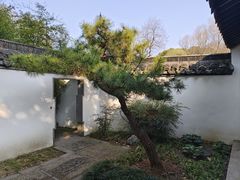 -上海醉白池公园
