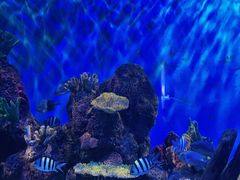 -石林冰雪海洋世界