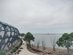 -上海滴水湖皇冠假日酒店