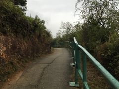 -南丫岛