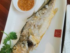 冻金龙鱼-潮名荟潮州菜馆(祈福缤纷世界店)
