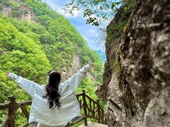 -洛阳白云山景区