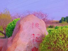 -大港湿地公园