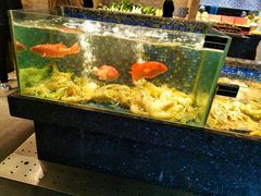 水产区-新荣记(椒江店)
