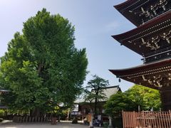 -医王山·飞騨国分寺