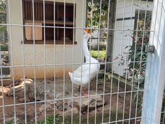 -宁波野生动物园