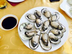 -海岛渔村大酒店(云霄路店)
