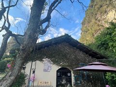 -村上春树