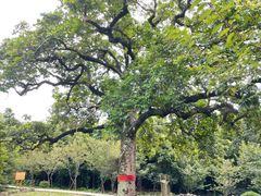 -福建鲤鱼洲酒店