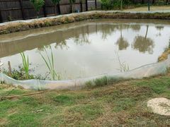 -南汇新场正宗水蜜桃采摘