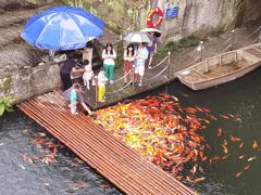 -千岛湖东南湖区