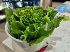 油麦菜-臻味到北京烤鸭(MM3购物中心店)