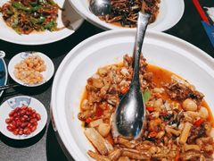 -凤凰湘语(浦东旗舰店)