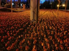 -廊坊文化艺术中心