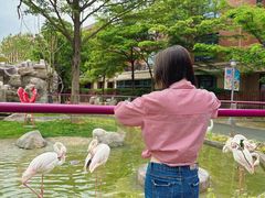 -灵玲国际马戏城
