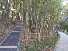 -龙头寺公园