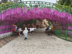 -蓬莱欧乐堡梦幻世界