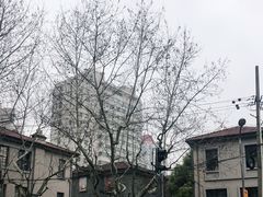 -徐家汇源景区-衡山坊