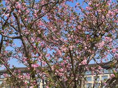 -宁波富邦荪湖山庄