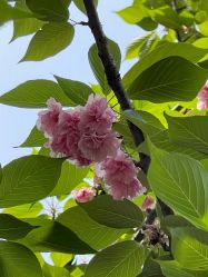 -玄武湖景区-情侣园游乐场