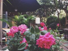 T馆-T館·花园艺术餐厅