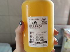 -野萃山·潮汕厚果汁(十亩地店)